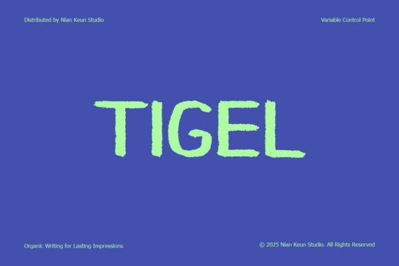 Tigel: A Bold and Authentic Display Typeface for Editorial Design